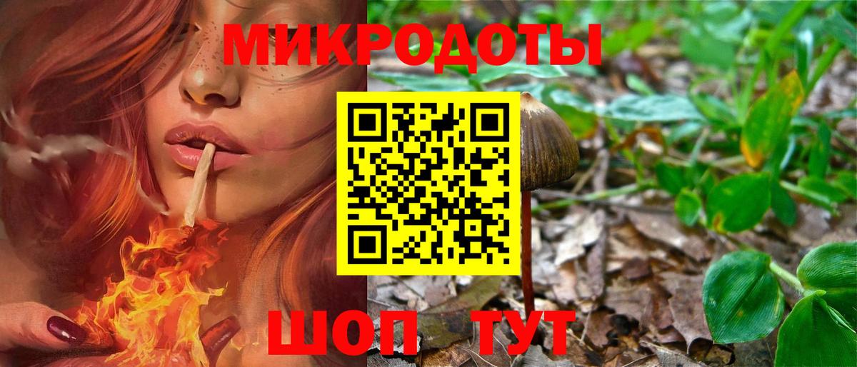 Псилоцибиновые грибы ЛСД Партизанск
